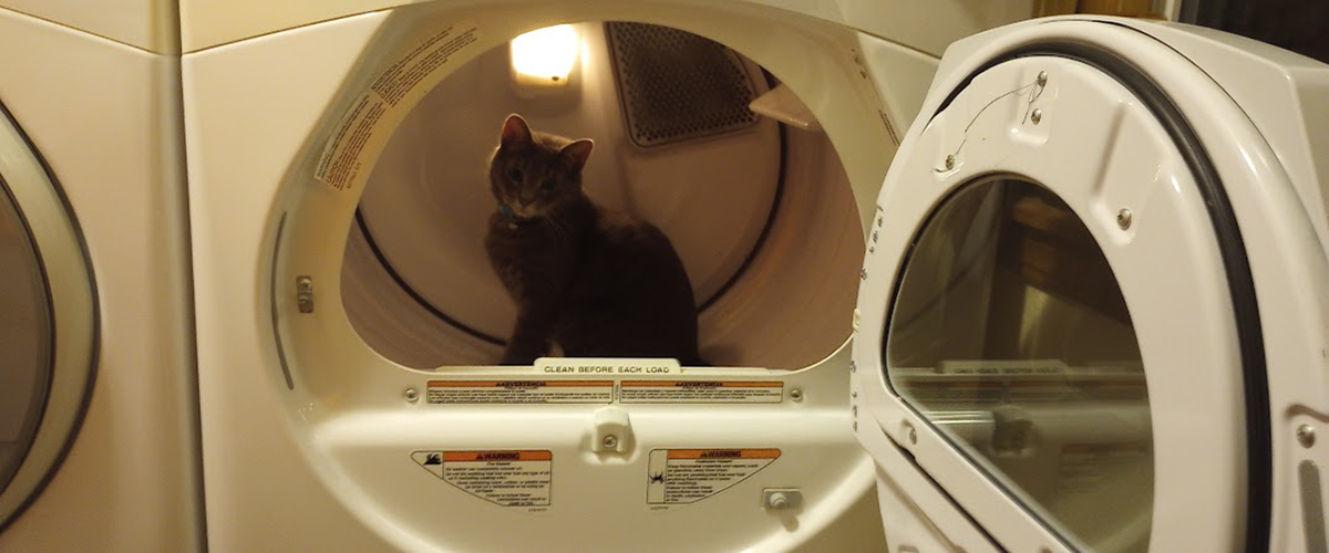 Wally's favorite toy